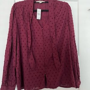 NWT Loft Blouse
